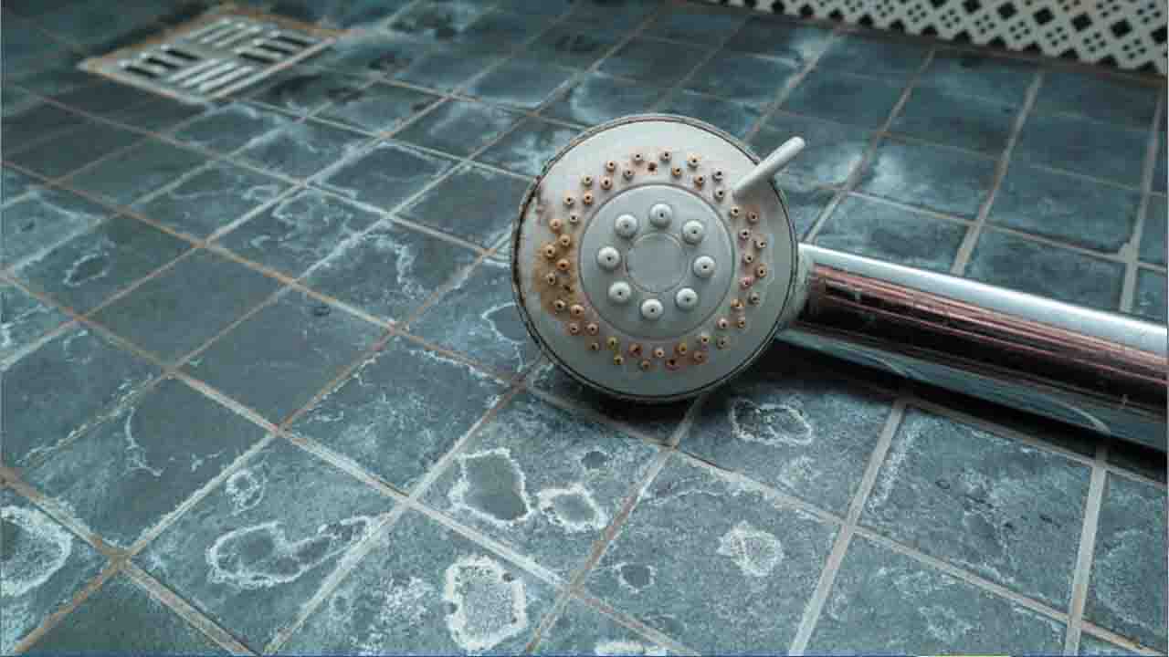 The Impact Of Limescale, Rust & Calcium Deposits On Shower Heads
