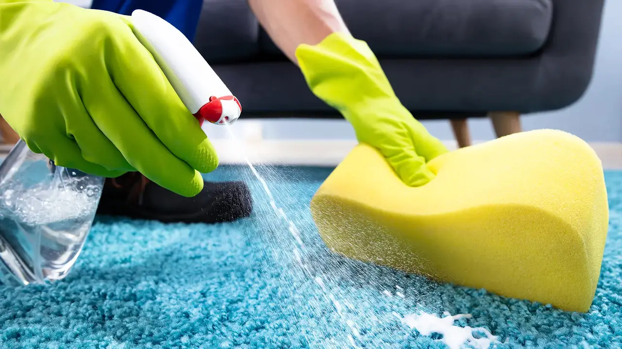 The Importance Of Deep Cleaning For Parvo In Carpets