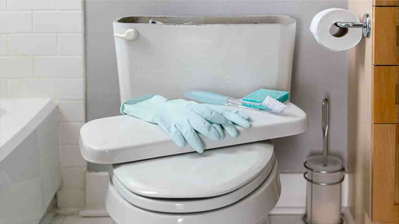 Tips And Tricks For Maintaining A Clean Toilet Tank