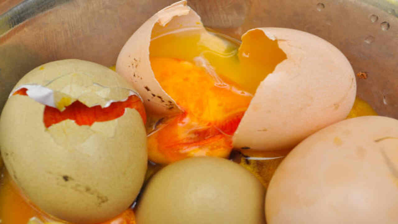 Tips For Preventing Rotten Egg Odors In The Home