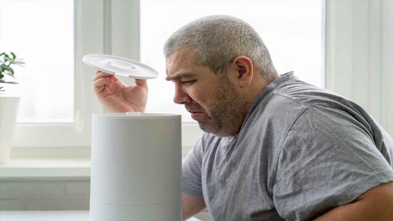 Top 10 Ways To Get Rid Of A House Smell Musty