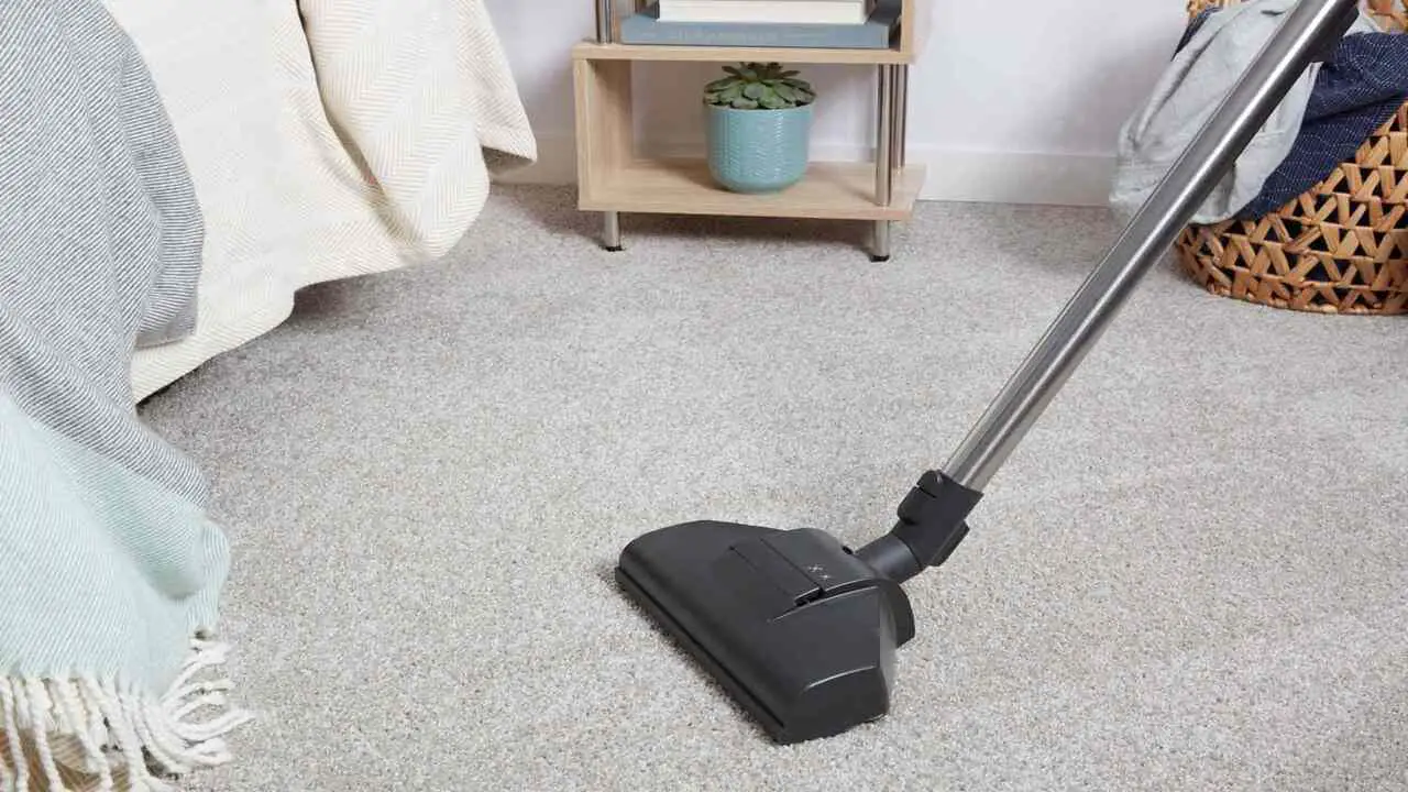 Vacuuming The Carpet Regularly