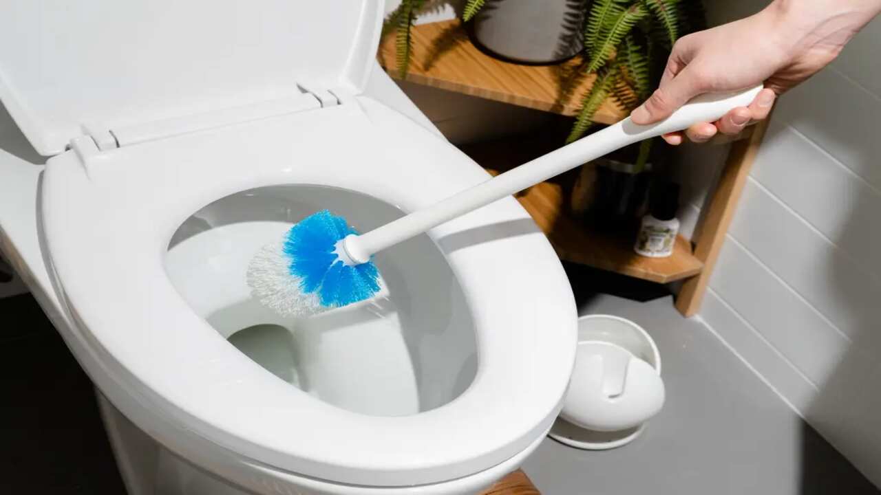 What Are Some Unconventional Methods To Clean A Toilet Seat