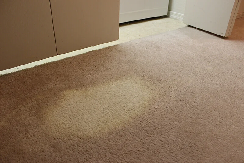 What Causes Bleach Stains On Carpets