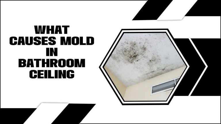 What Causes Mold in Bathroom Ceiling