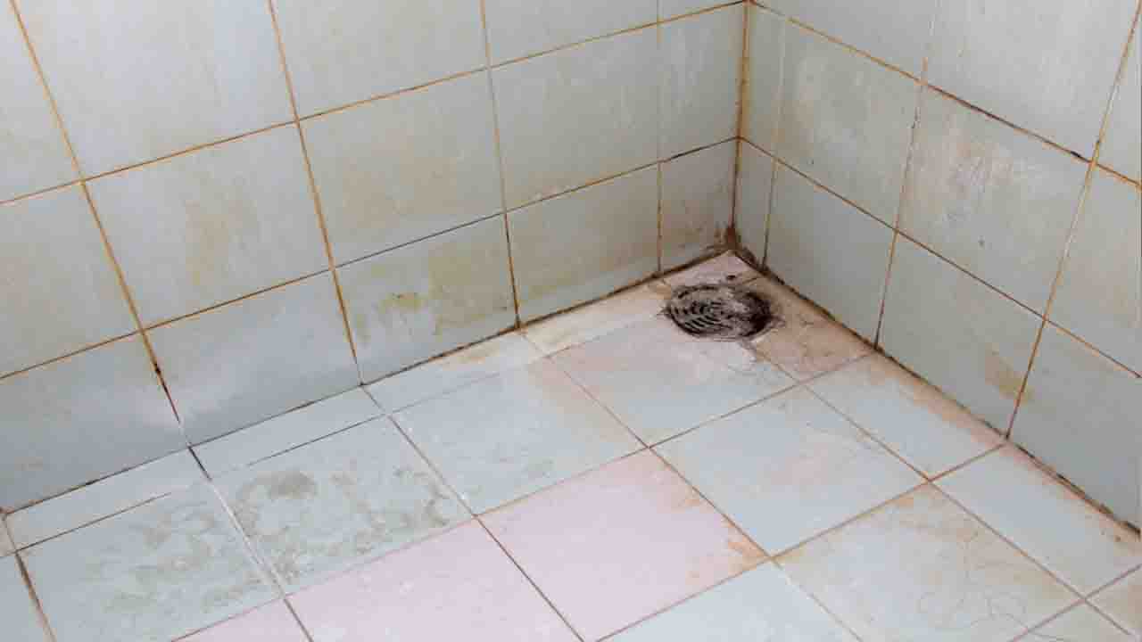 What Kills Mold On Bathroom Tile