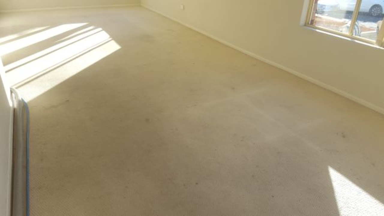 When To Clean Light-Colored Carpets