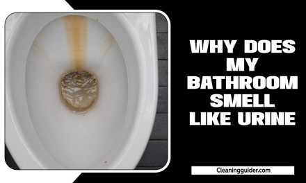 Why Does My Bathroom Smell Like Urine – All You Need To Know
