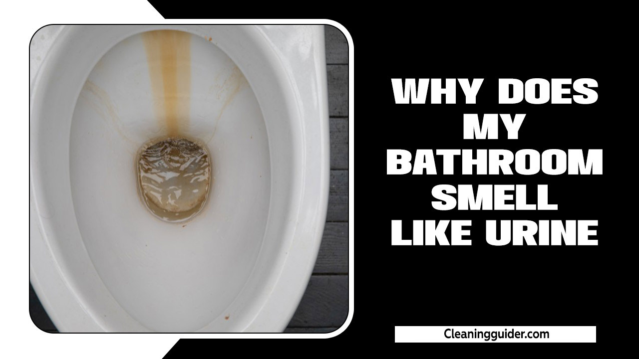 Why Does My Bathroom Smell Like Urine