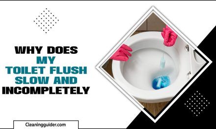 Why Does My Toilet Flush Slow And Incompletely – All You Need To Know