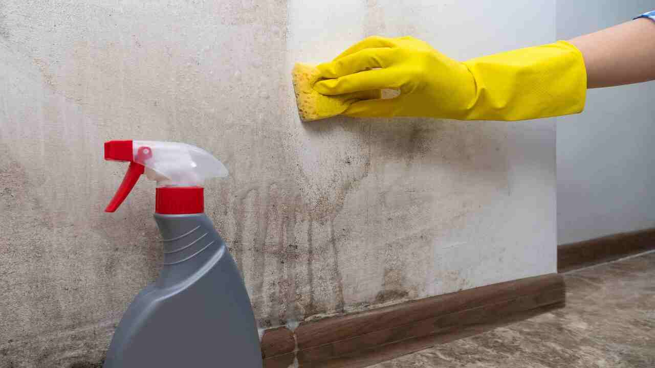 Why Regular Cleaning Of Hidden Areas Is Crucial